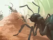 Hình ảnh game Ants.io