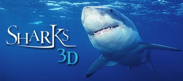 Hình ảnh game Cá Mập Sharks 3d